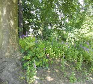 Parkanlage Planten un Blomen