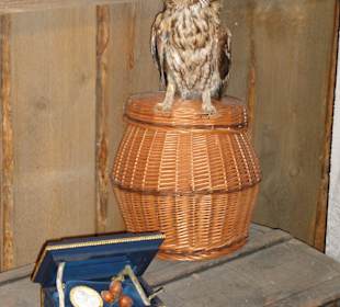 Die Schatulle mit den Zaubernüssen