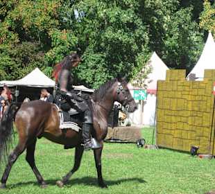 Mittelalterliches Spectaculum 