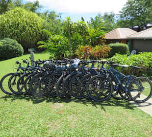 Unterwegs auf Barbados