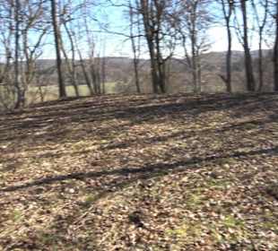 Ödenburg Oberstetten