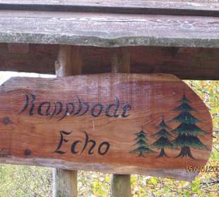 Tolles Echo an der Rappbode