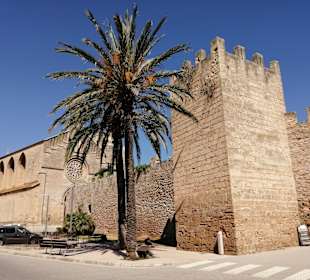 Stadtmauer Alcudia