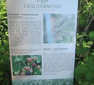 Impressionen Kräuterweg in Assmannshausen