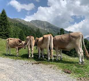 Wandern Ochsengarten