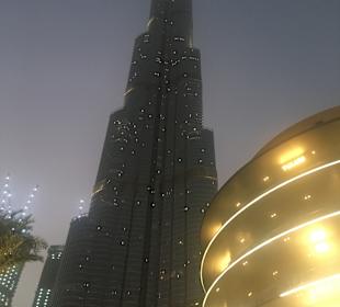 Geführte Touren Visit Friends Dubai