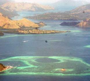 Komodo Tours