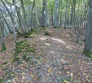 Abwechslungsreiche Wege