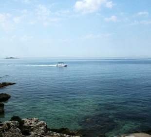 Close to the harbour