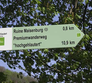 Ruine Maisenburg