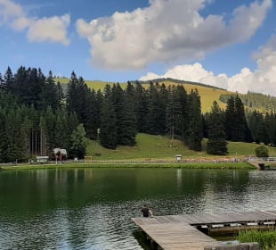 Ausblick