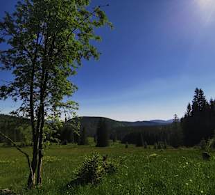 Wandern Todtnauberg