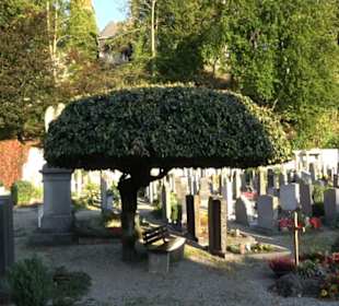 Evangelischer Friedhof „Unter der Burghalde“