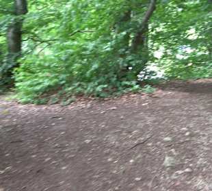 Wanderrunde Emeringen zum Rechtenstein