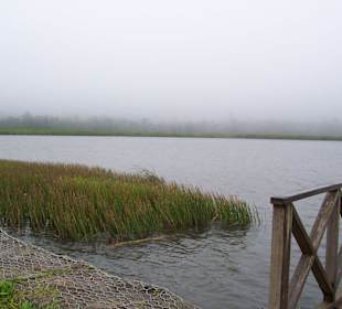 Gran Etang NP