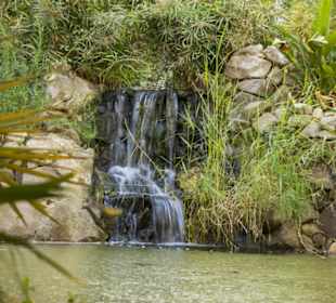 Botanischer Garten Eilat