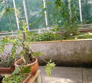 Botanischer Garten 