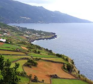 Inselrundfahrt Pico