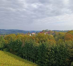 Landschaft bei Großklein