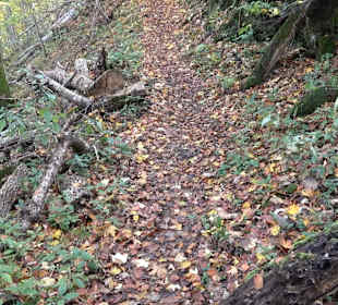 Wandertour "Rund um den Rossberg" Öschingen
