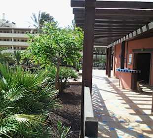 Blick auf unser Büro