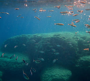 Šnorchlování v oblasti Kalithea