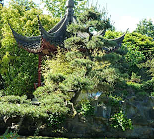 R. Sun Yat Sen  Garden in Chinatown