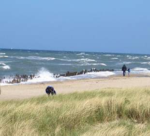 Riedenstrand in Kühlungsborn West