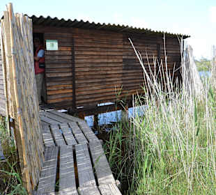 Vogel-Beobachtungs-Hütte