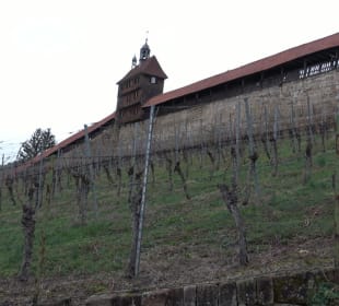 Burg Esslingen