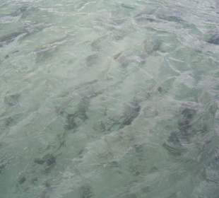 Ausflug Glasbodenboot Diani Beach