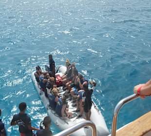 Auf gehts zu den Delfinen 