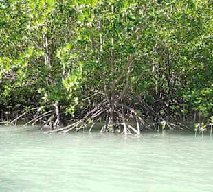 Lagune inmitten von Hong