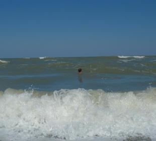 Римини, море