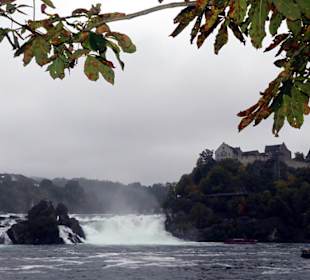Schloss über dem Rheinfall