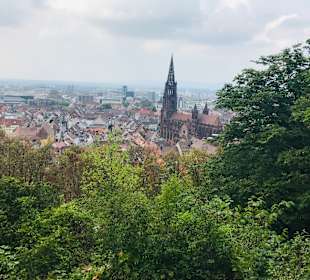 Wandern Freiburg im Breisgau