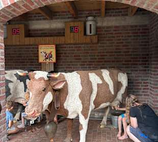 Irrland Bauernhof-Erlebnisoase