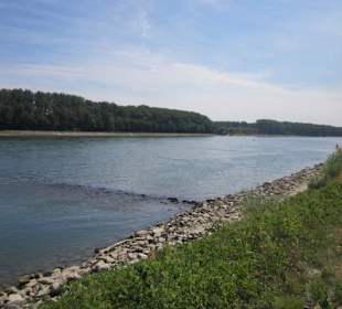 Am Rhein in Germersheim