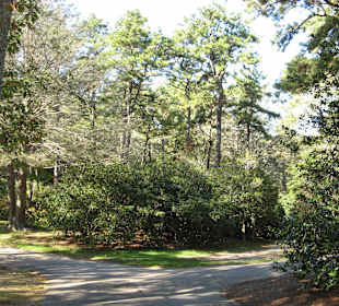 Das weitläufige Parkgelände