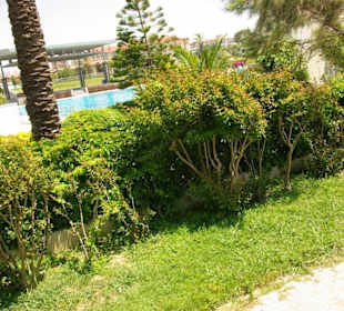 Kumköy - Strandbereich