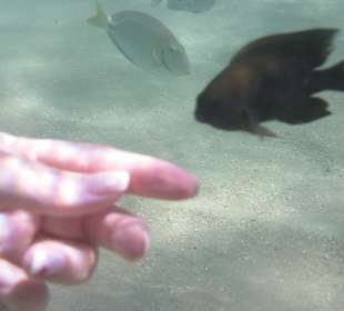 Ganz schön neugierig 