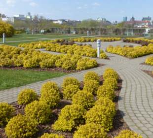Auf dem Dachgarten der Universitätsbibliothek