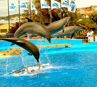 Marineland w Palafolls nieco za Blanes