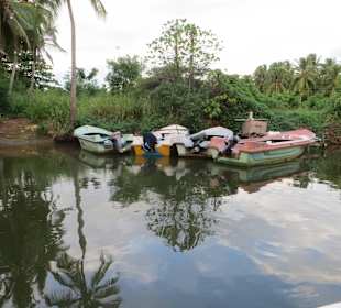 Flussfahrt vor dem Club Hotel Dolphin mit Haralds Boot