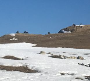 Wandern Les Rasses
