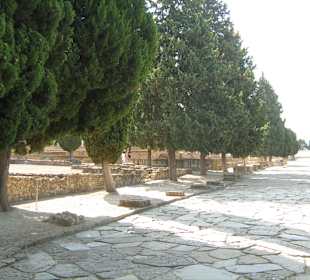 Italica