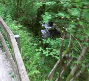 Wasserfälle Allerheiligen