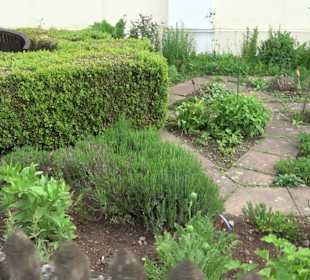 Kräutergarten Heiligenbronn
