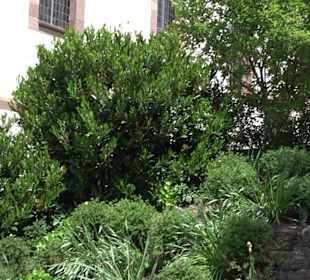 Bartholomäuskirche Schopfloch