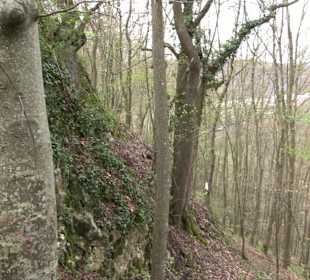 Wanderung rund um das Rusenschloss Gerhausen